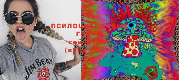 шишки Армянск