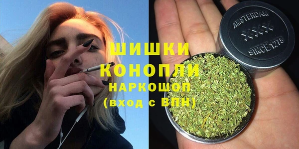 ПСИЛОЦИБИНОВЫЕ ГРИБЫ Баксан